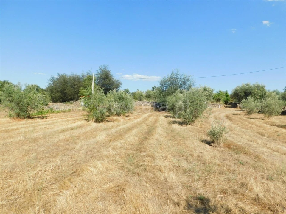 Quinta T0 para Venda em Peraboa Foto 3