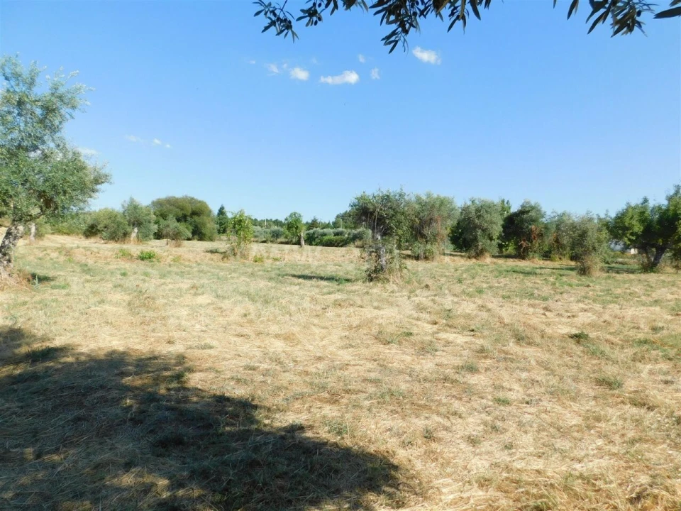 Quinta T0 para Venda em Peraboa Foto 11