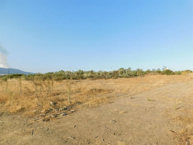 Terreno para Venda em Tortosendo Foto 17