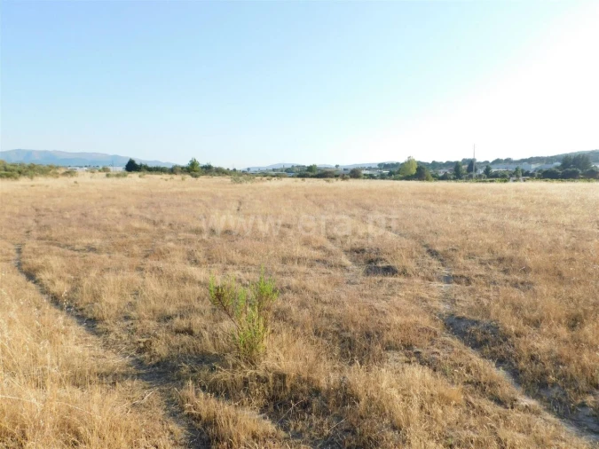 Terreno para Venda em Tortosendo Foto 9