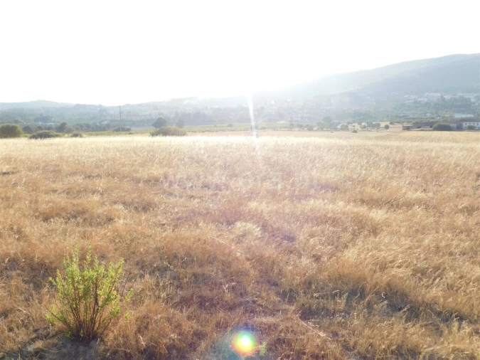 Terreno para Venda em Tortosendo Foto 10