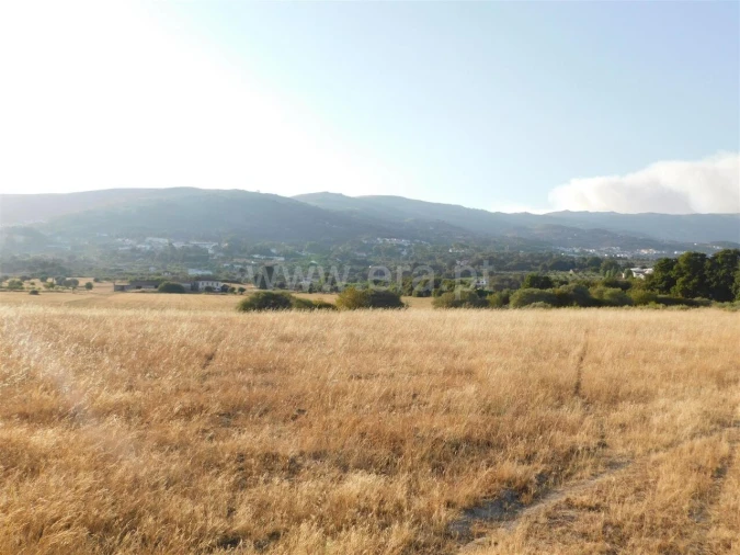 Terreno para Venda em Tortosendo Foto 12