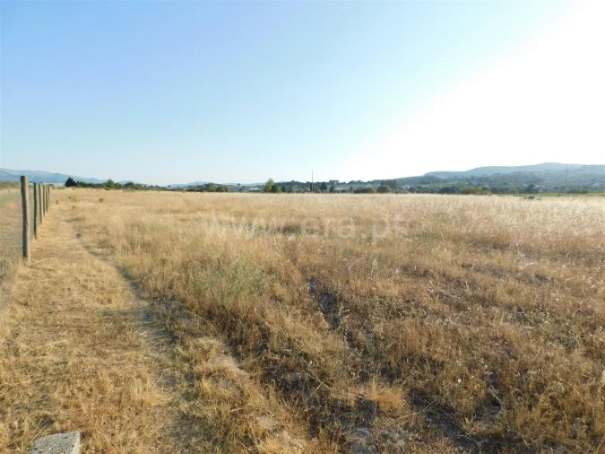 Terreno para Venda em Tortosendo Foto 7