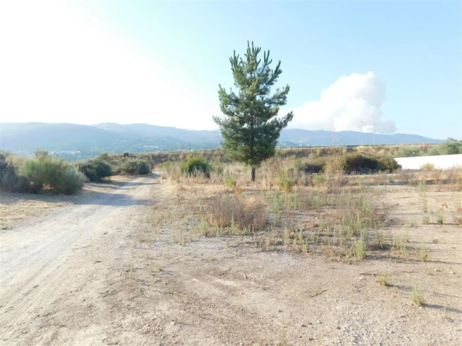 Terreno para Venda em Tortosendo Foto 2