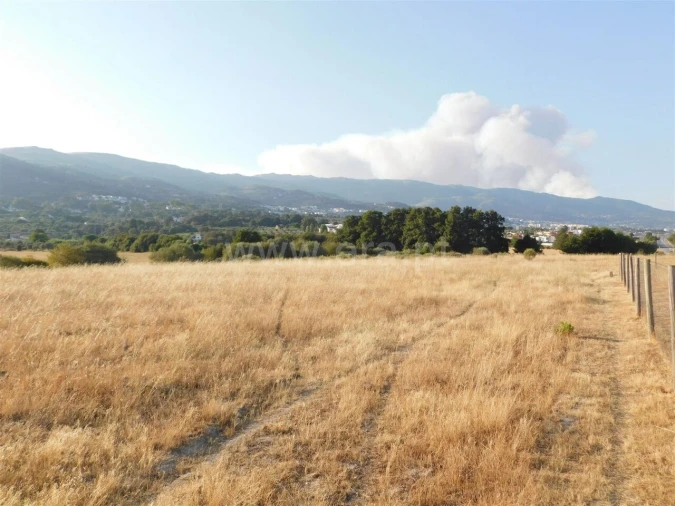 Terreno para Venda em Tortosendo Foto 11