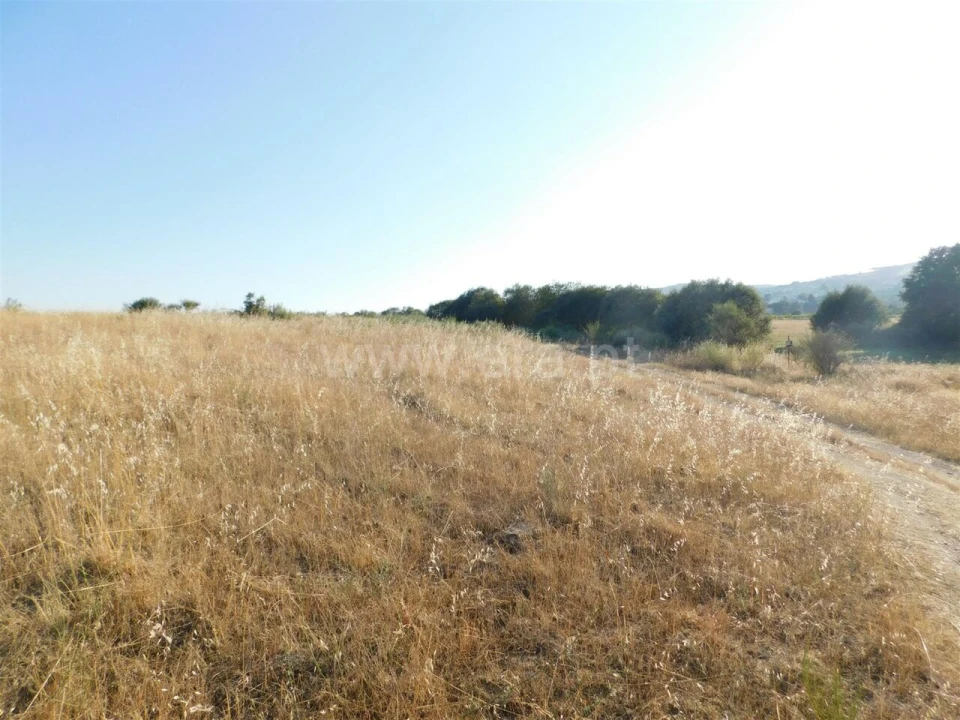 Terreno para Venda em Tortosendo Foto 13