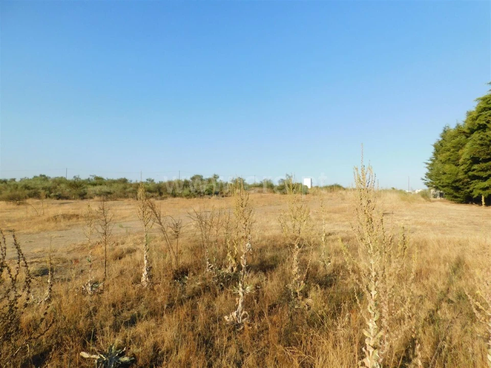Terreno para Venda em Tortosendo Foto 16