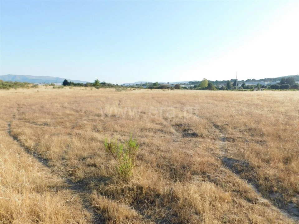 Terreno para Venda em Tortosendo Foto 9