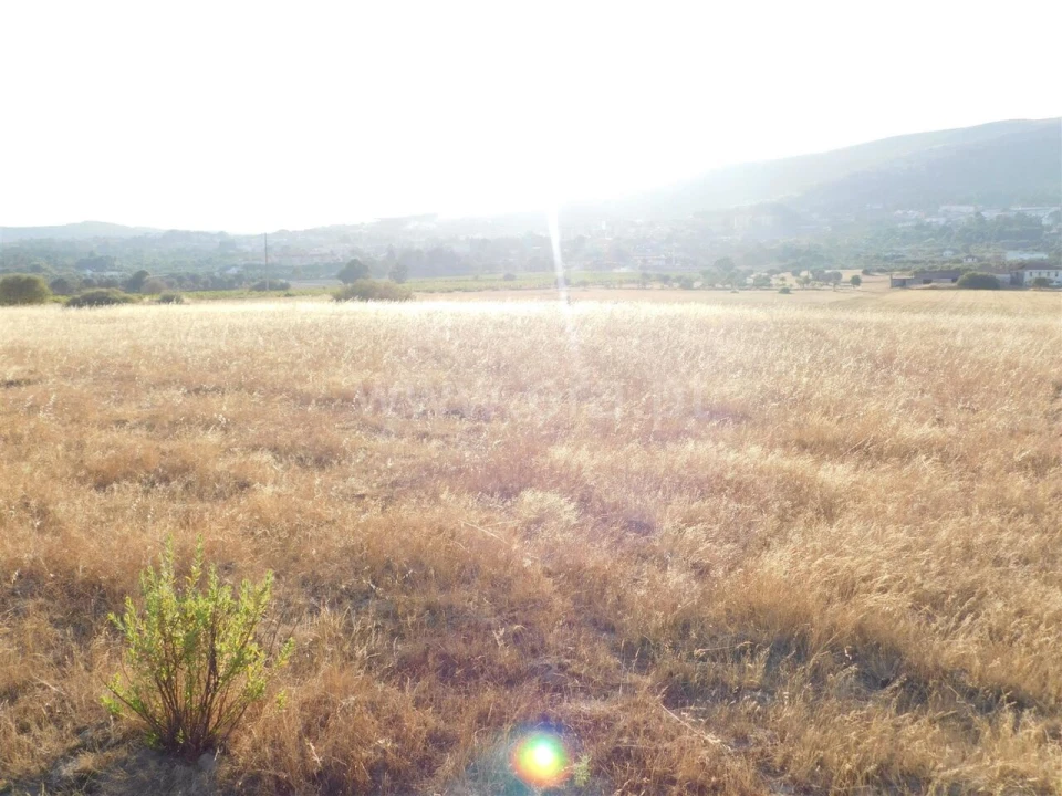 Terreno para Venda em Tortosendo Foto 10