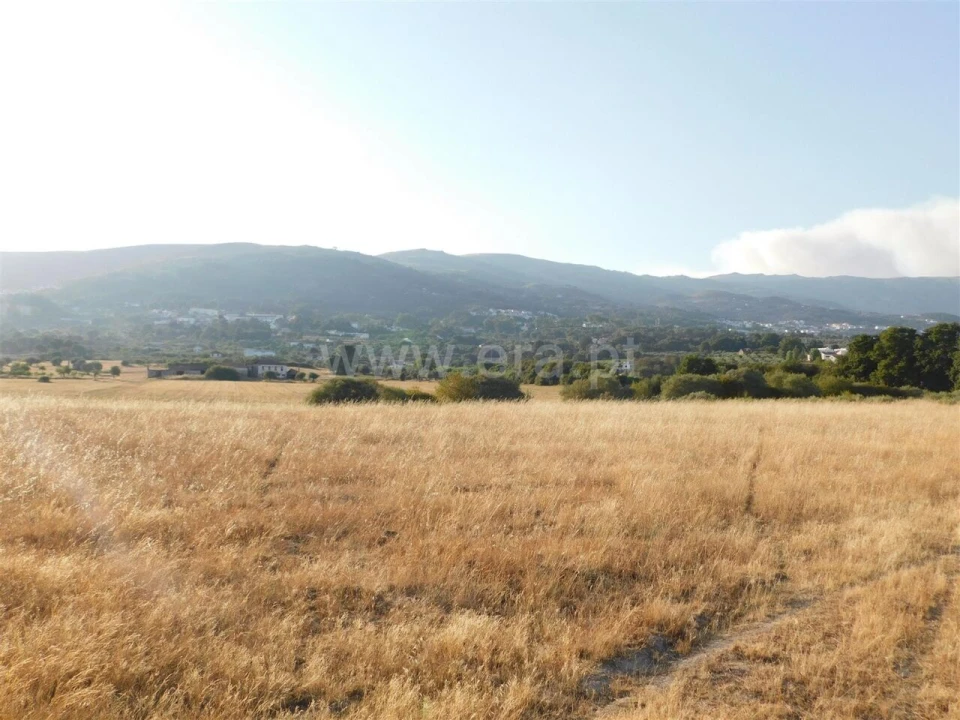 Terreno para Venda em Tortosendo Foto 12
