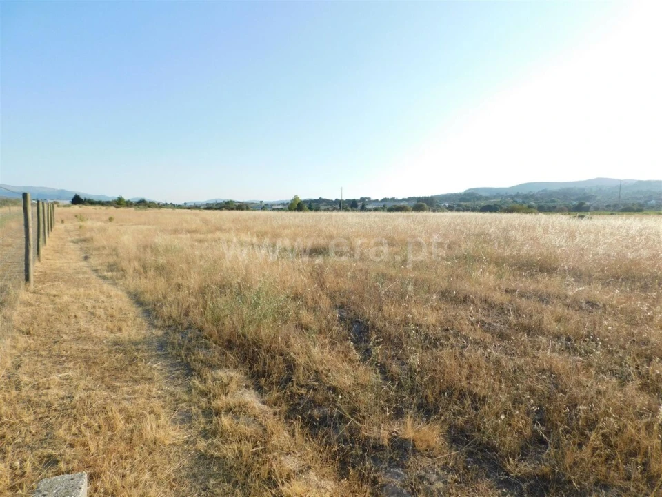 Terreno para Venda em Tortosendo Foto 7