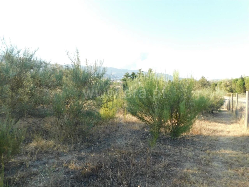 Terreno para Venda em Tortosendo Foto 5