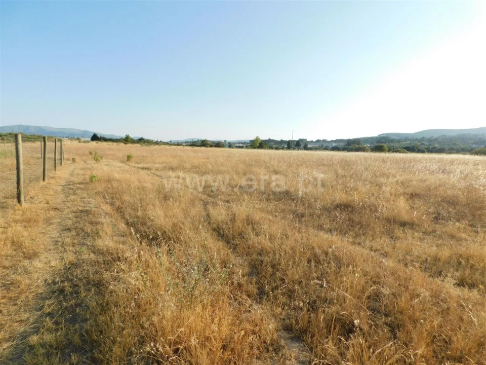 Terreno para Venda em Tortosendo Foto 8