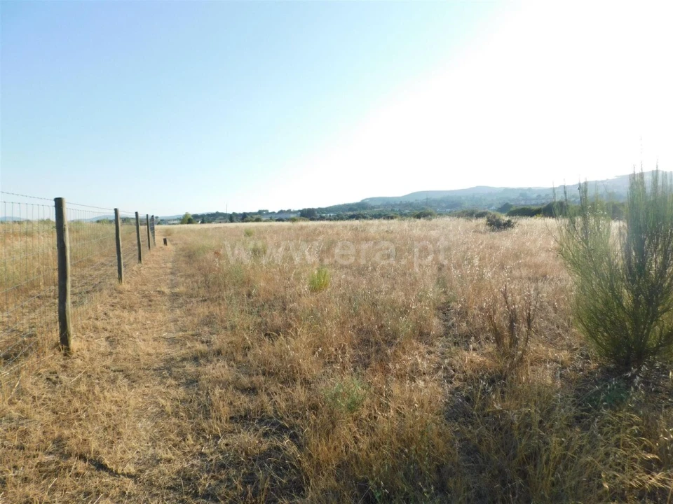 Terreno para Venda em Tortosendo Foto 6