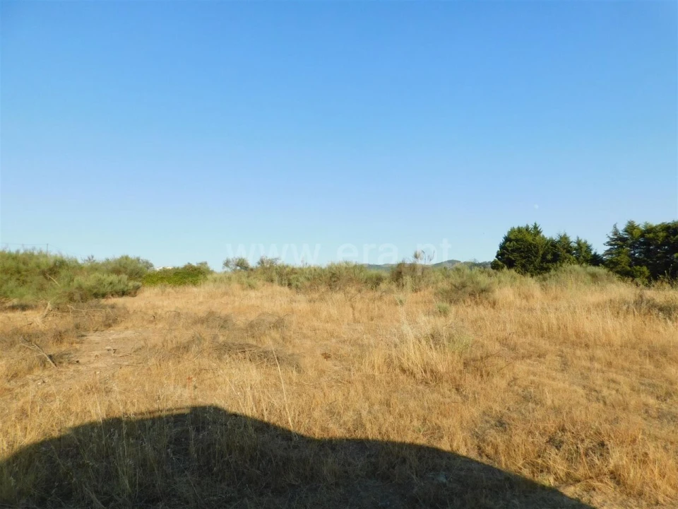 Terreno para Venda em Tortosendo Foto 15