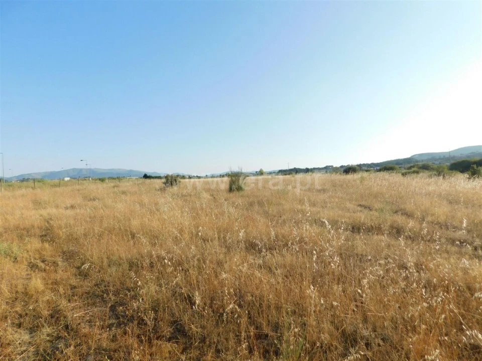Terreno para Venda em Tortosendo Foto 4