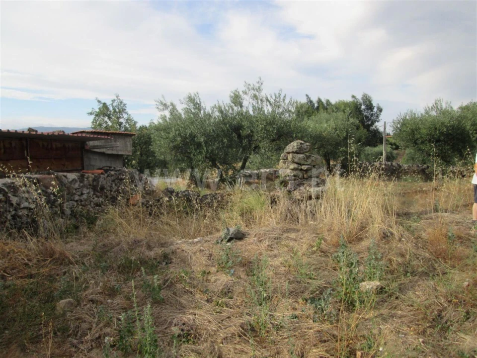 Terreno para Venda em Peraboa Foto 6