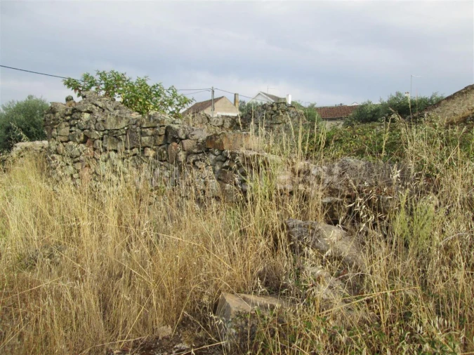 Terreno para Venda em Peraboa Foto 5