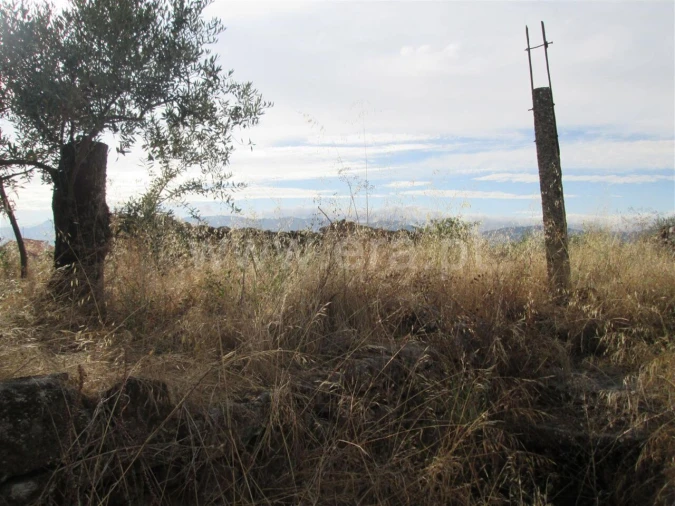 Terreno para Venda em Peraboa Foto 4