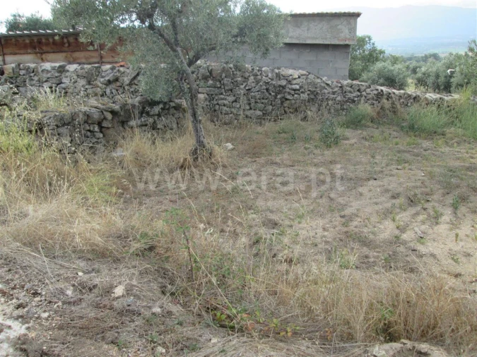 Terreno para Venda em Peraboa Foto 12