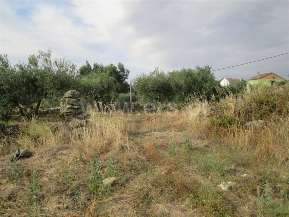 Terreno para Venda em Peraboa Foto 8