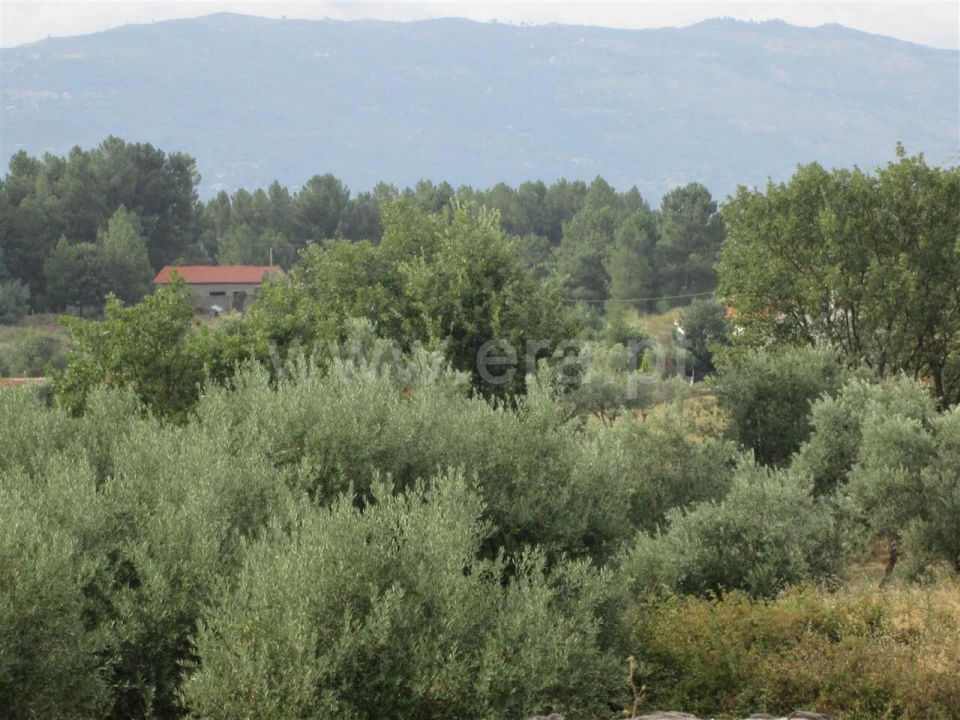 Terreno para Venda em Peraboa Foto 10