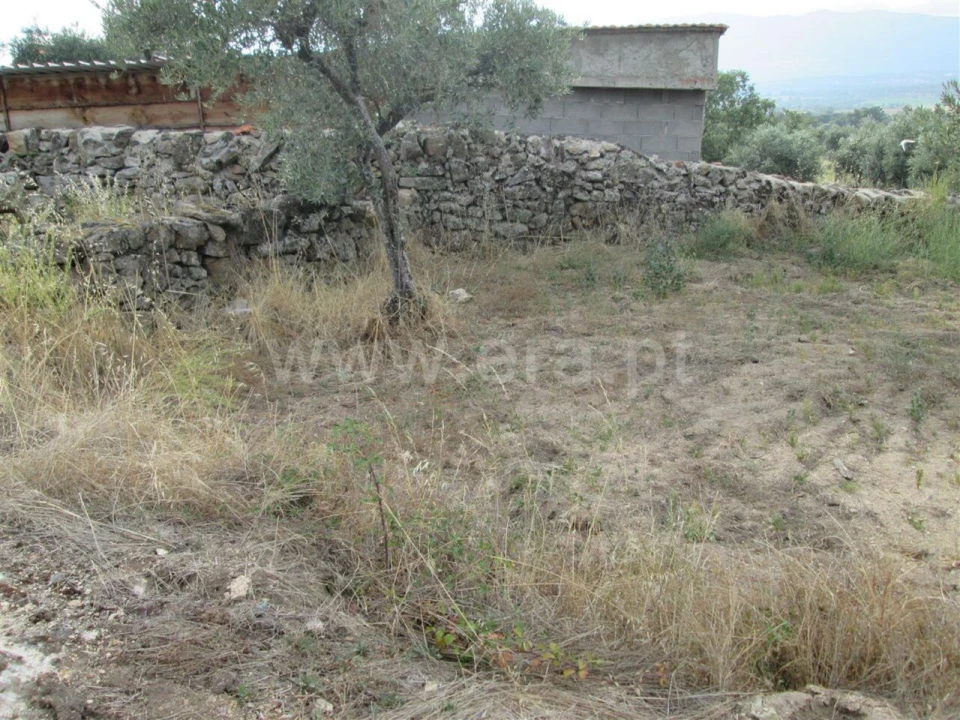 Terreno para Venda em Peraboa Foto 12