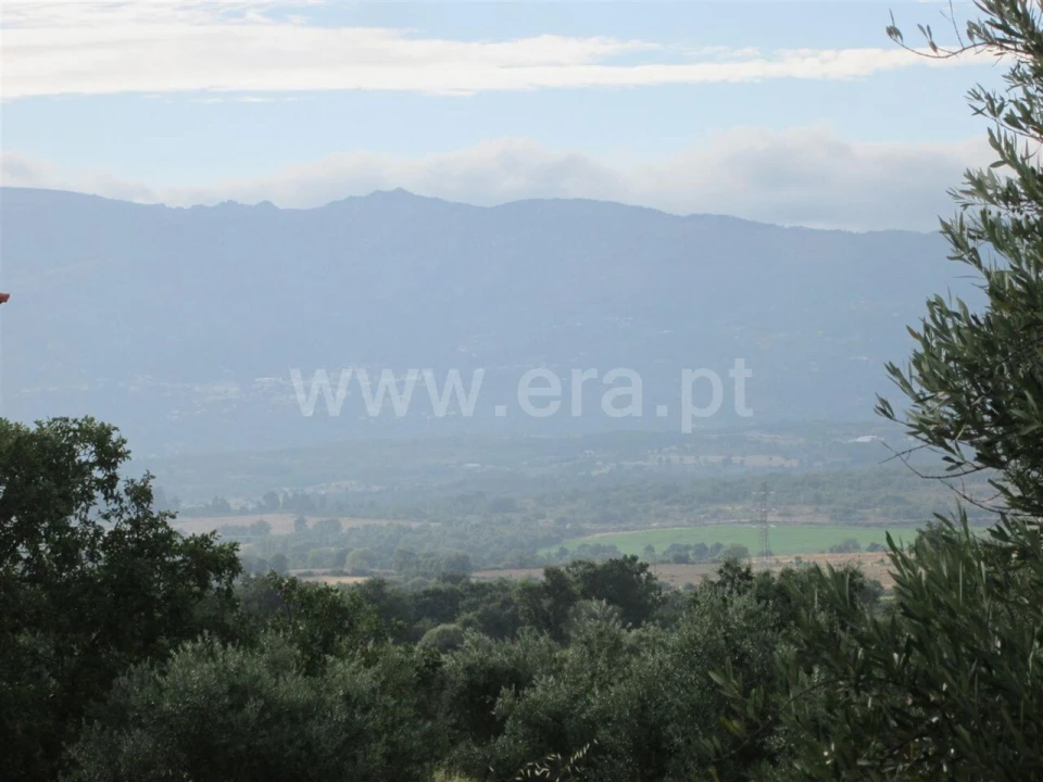 Terreno para Venda em Peraboa Foto 9