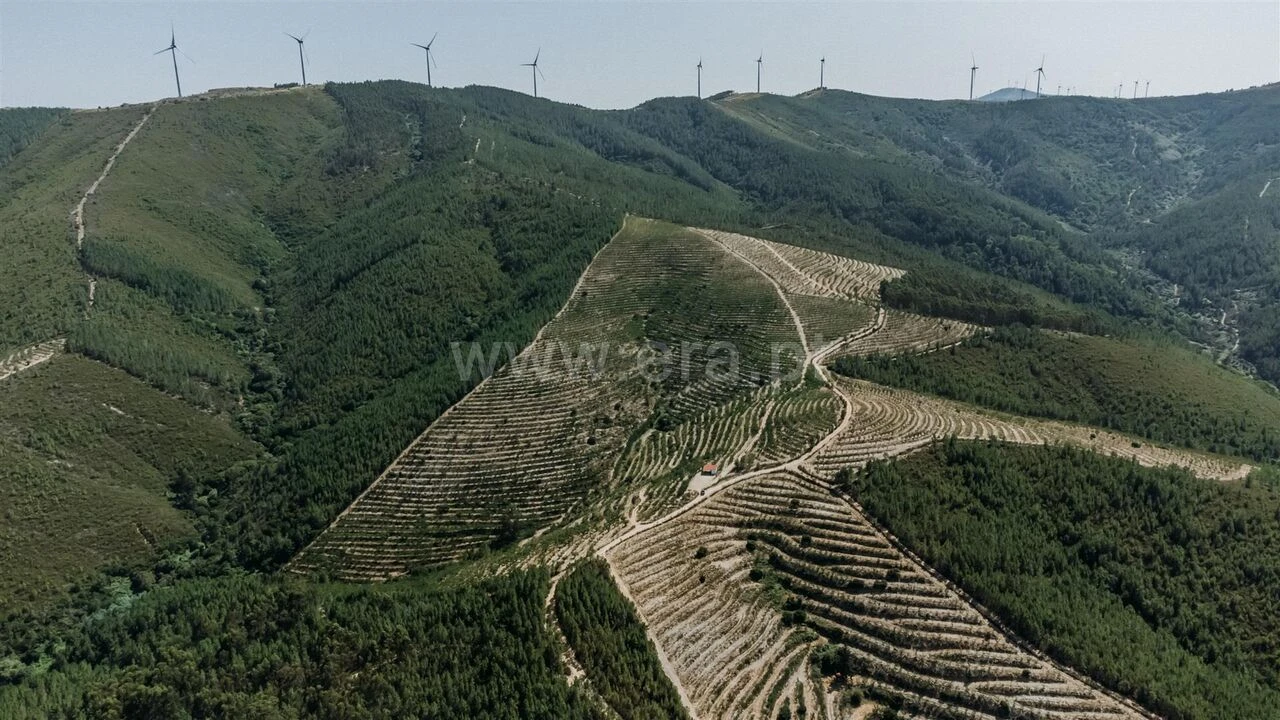 Terreno para Venda em Castelejo Foto 2