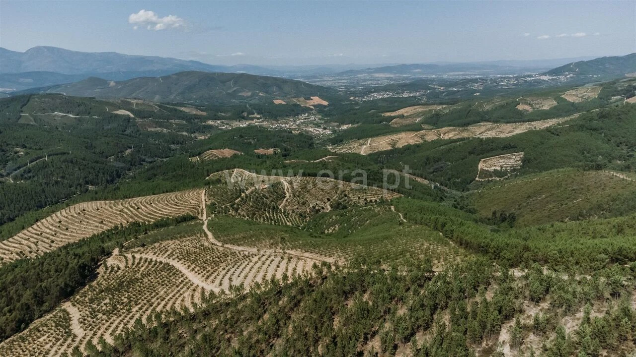 Terreno para Venda em Castelejo Foto 13