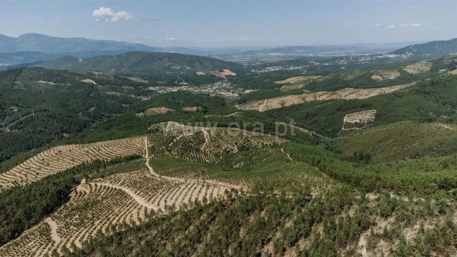 Terreno para Venda em Castelejo Foto 13