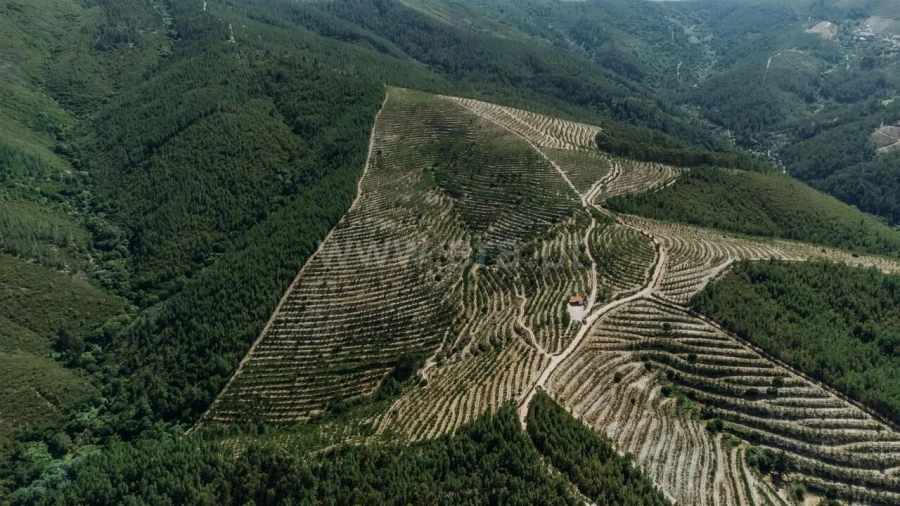 Terreno para Venda em Castelejo Foto 11