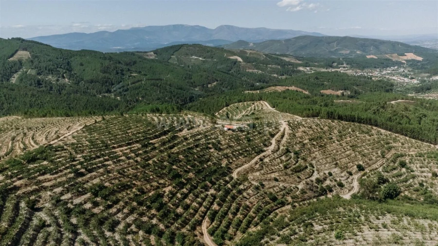 Terreno para Venda em Castelejo Foto 17
