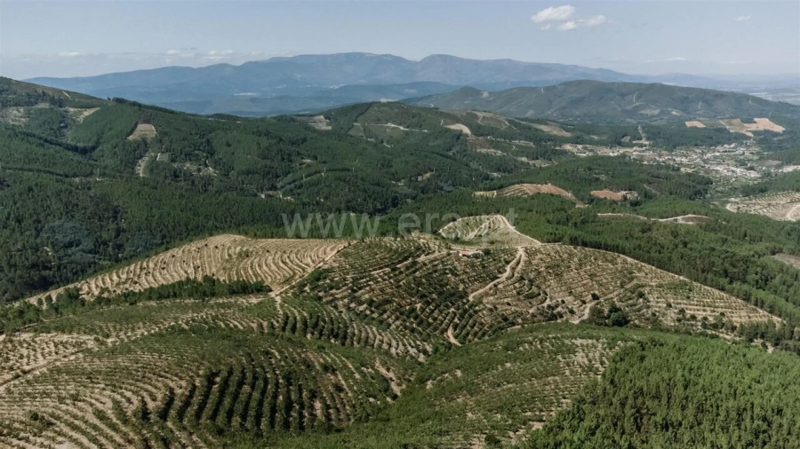 Terreno para Venda em Castelejo Foto 15