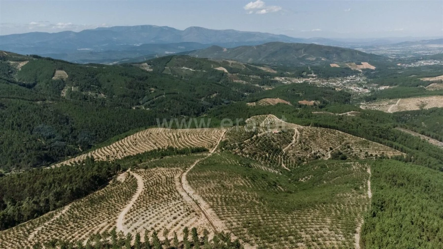 Terreno para Venda em Castelejo Foto 14