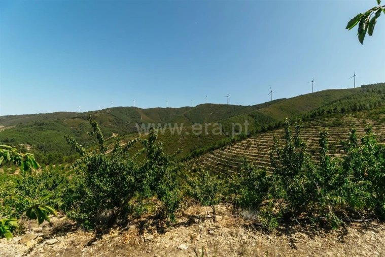 Terreno para Venda em Castelejo Foto 10