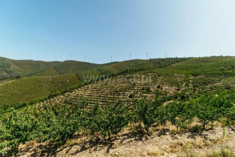 Terreno para Venda em Castelejo
