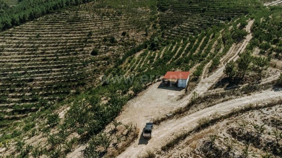 Terreno para Venda em Castelejo Foto 19