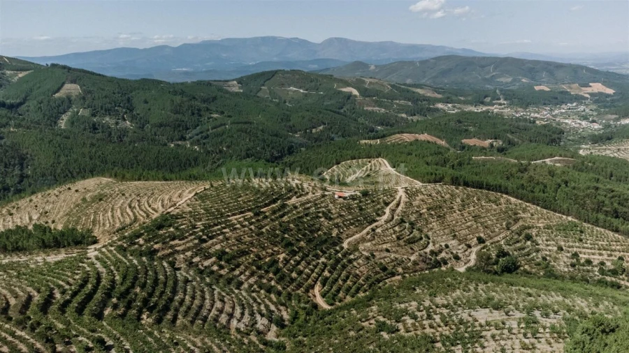 Terreno para Venda em Castelejo Foto 16