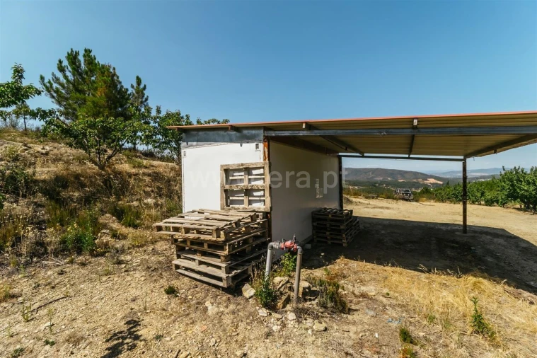 Terreno para Venda em Castelejo Foto 8