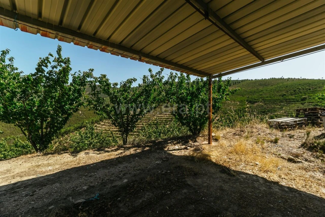 Terreno para Venda em Castelejo Foto 6