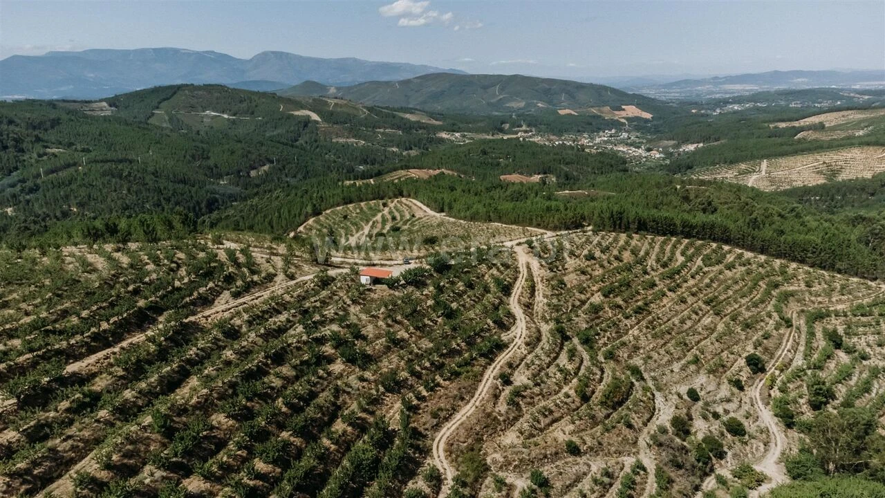 Terreno para Venda em Castelejo Foto 18