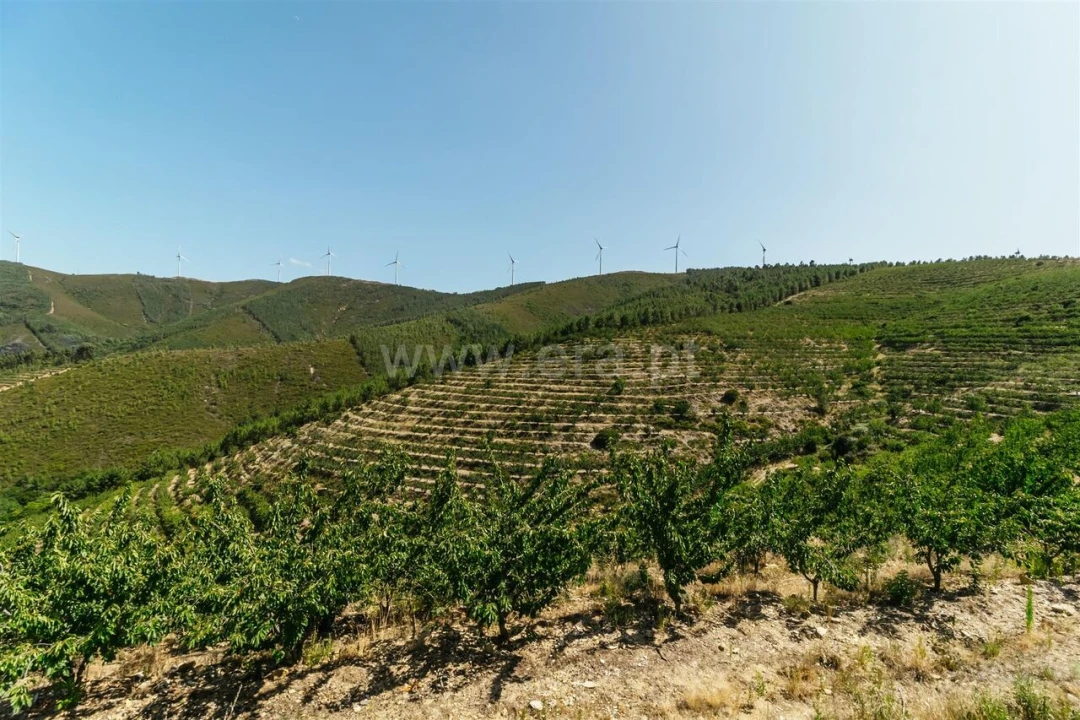 Terreno para Venda em Castelejo Foto 1