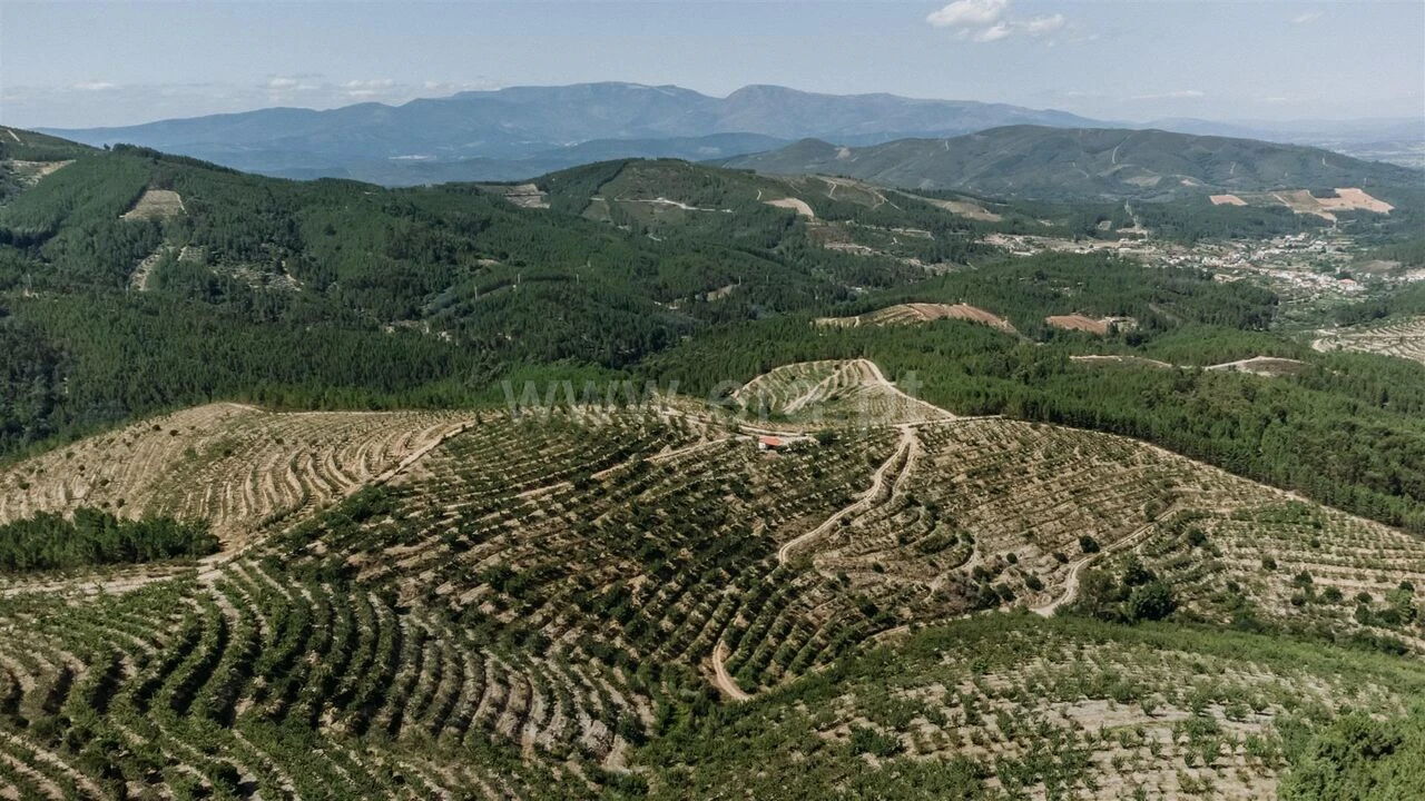 Terreno para Venda em Castelejo Foto 16
