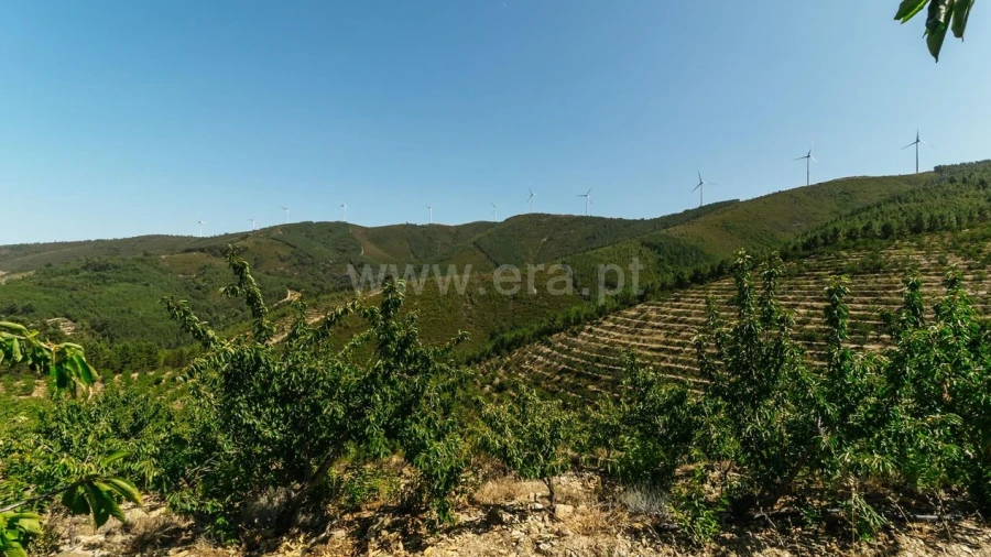 Terreno para Venda em Castelejo