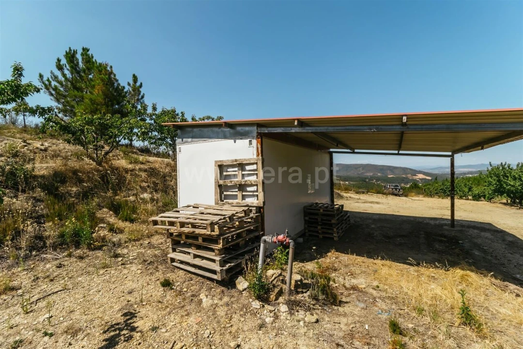 Terreno para Venda em Castelejo Foto 8