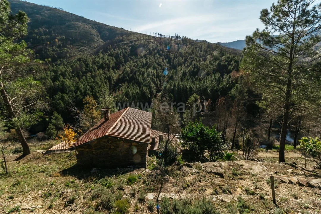 Moradia T2 para Venda em Verdelhos Foto 4