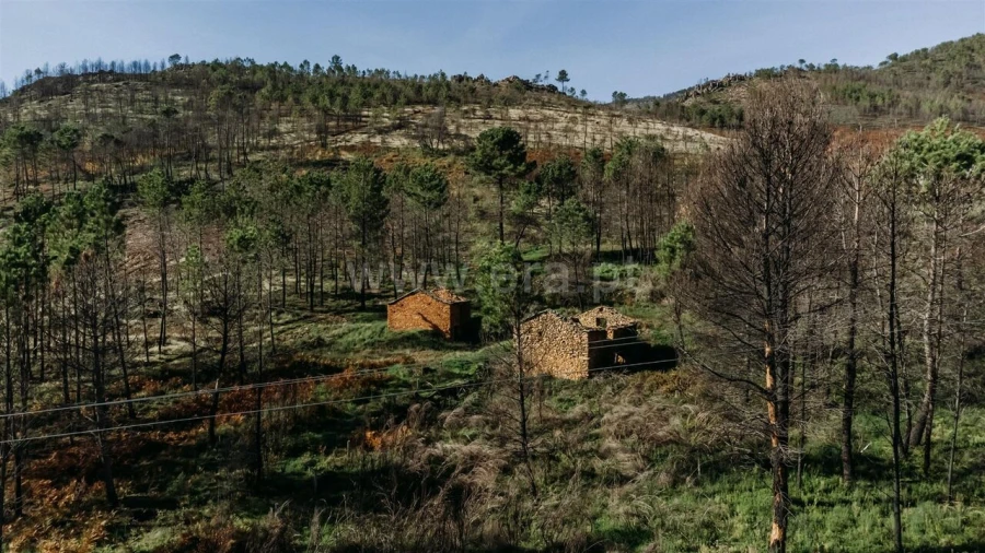 Moradia T1 para Venda em Verdelhos Foto 4