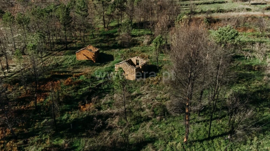 Moradia T1 para Venda em Verdelhos Foto 1