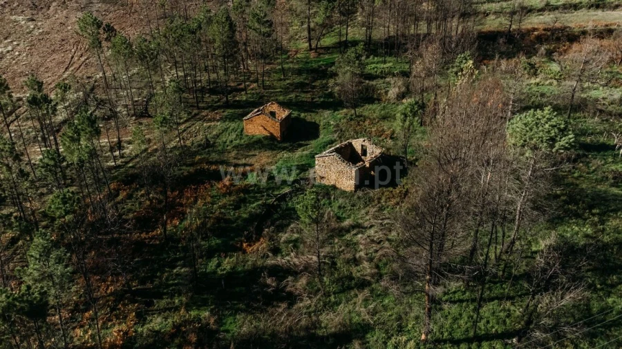 Moradia T1 para Venda em Verdelhos Foto 5